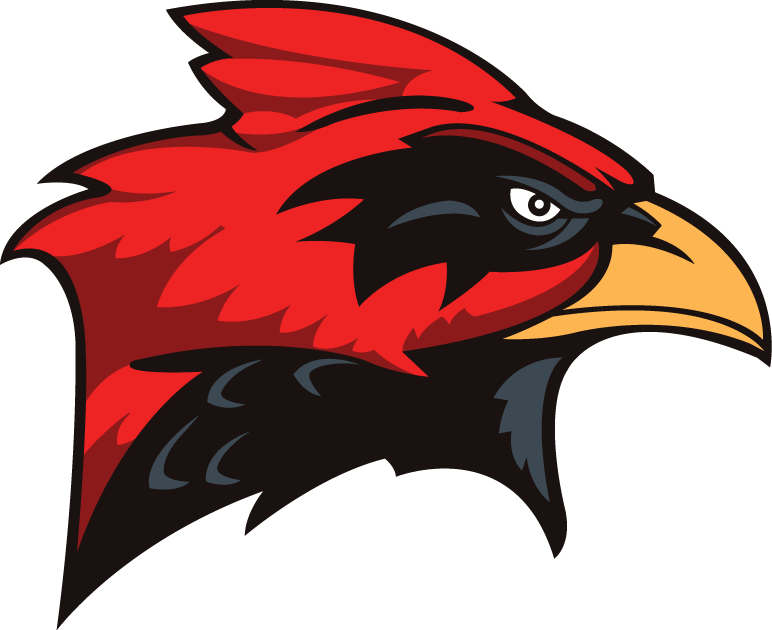 Incarnate Word Cardinals 1998-2010 Secondary Logo diy fabric transfer